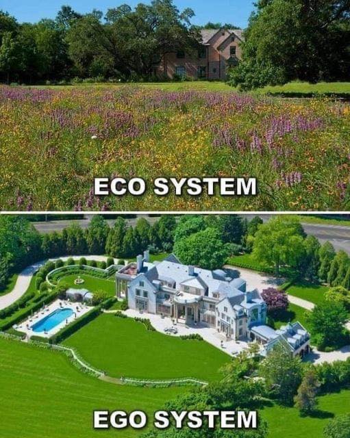 The meme is a visual joke that contrasts two types of gardens: a wild, untamed "Eco System" (with a house in the background) and a well-manicured, luxurious "Ego System" (with a grand house and pool). The text at the top reads "Eco System" and at the bottom reads "Ego System". The humor comes from the idea that the two types of gardens are so different in style and quality, with the "Ego System" being a symbol of wealth and excess.